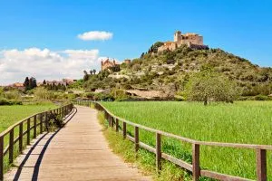 Mallorca spanien arta landschaft sehenswurdigkeit stockpack adobe stock
